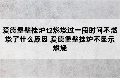 爱德堡壁挂炉也燃烧过一段时间不燃烧了什么原因 爱德堡壁挂炉不显示燃烧